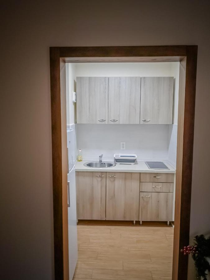 Star Apartman Brzece Kopaonik エクステリア 写真