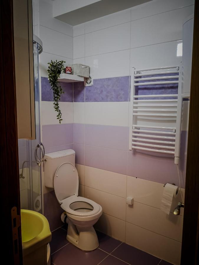 Star Apartman Brzece Kopaonik エクステリア 写真